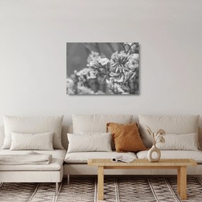 Tablou pe sticlă - Flori uscate (70x50 cm)
