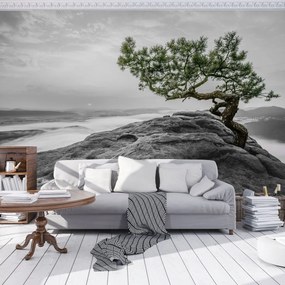 Fototapet - Copac pe stânci (152,5x104 cm)