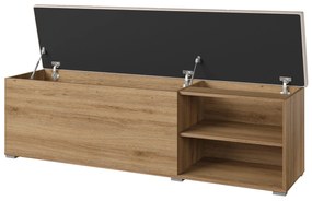 Dulap pentru pantofi Verdeene (stejar sălbatic + bej). 1091839