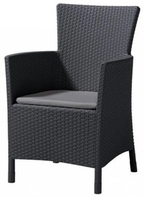 Scaun de grădină Iowa, culoare grafit, cu pernă gri deschis