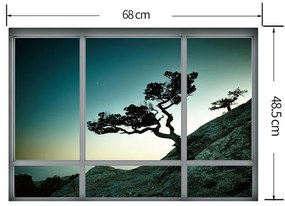 Sticker perete Baobas Tree 3D Window