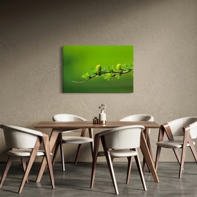 Tablou con verde (90x60 cm)