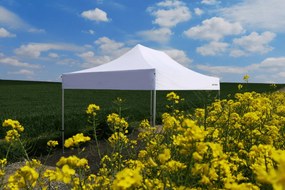 Cort de nuntă 3x6 m din aluminiu – Elegant și de montare rapidă - cu 3 pereți - Verde