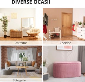 HOMCOM Taburet Roz cu Depozitare, Catifea, pentru Dormitor și Hol, Spațiu Generos, Confortabil | Aosom Romania
