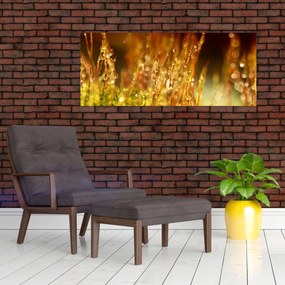 Tablou - Detaliu rouă (120x50 cm)