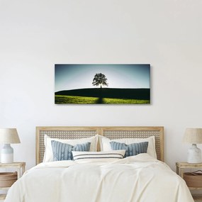 Tablou cu natura - copac (120x50 cm)