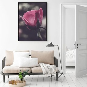 Poster - Floarea de trandafir (A4)