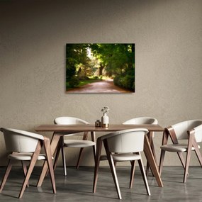 Tablou pe sticlă cu parc (70x50 cm)