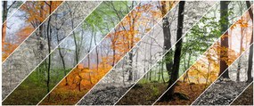 Tablou - Schimbarea anotimpurilor (120x50 cm)