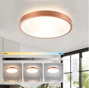BRILAGI - Corp de iluminat LED reglabil GLASS POOL DOUBLE LED/48W/230V 40 cm finisaj cupru + telecomandă