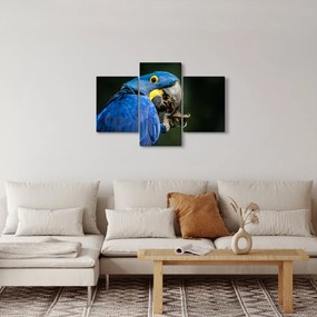 Tablou cu papagal (90x60 cm)