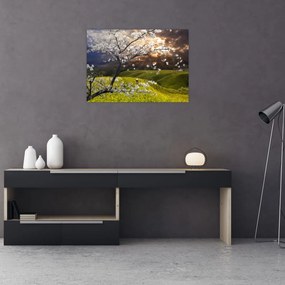 Tablou pe sticlă - Peisaj cu pomul înflorit (70x50 cm)