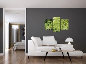 Tablou - Frunză de ferigă (90x60 cm)