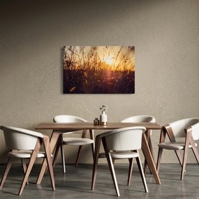 Tablou - Câmp la apus de soare (90x60 cm)