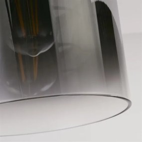 Searchlight 88911-1BK - Plafonieră de tavan SWEDEN 1xE27/60W/230V Ø22 cm negru/sticlă fumurie