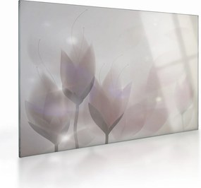 Tablou pe sticlă - Flori de crocus (70x50 cm)