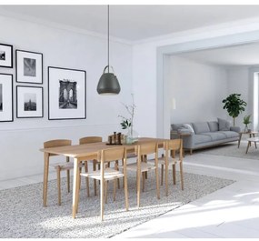 Eglo 98349 - Lustră suspendată BEDNALL pe cablu 1xE27/60W/230V