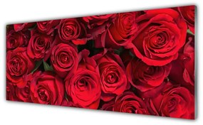 Tablou pe sticla Trandafiri Floral Red