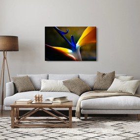 Tablou - Floare exotică (90x60 cm)