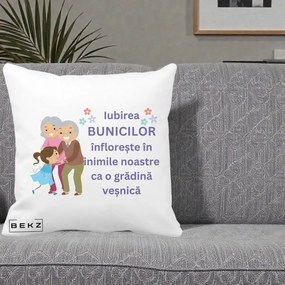 Cadou pentru Bunici - Perna Personalizata Bunicii Iubirea Infloreste Bunici cu Nepoata Colorat, 40x40 cm, Alba Mata, Husa Detasabila, Perna Inclusa, BEKZ®