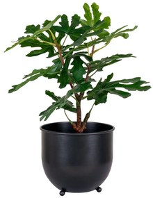 Fügefa műnövény, zöld 60 cm