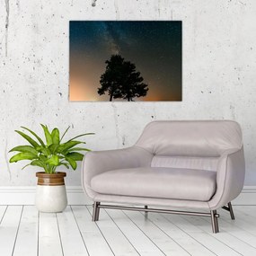 Tablou pe sticlă cu cerul nocturn și copaci (70x50 cm)