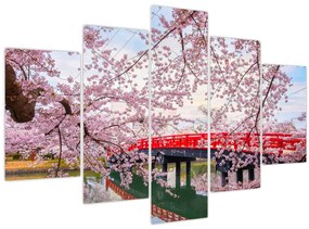 Tablou - Hirosaki, Japonia (150x105 cm)