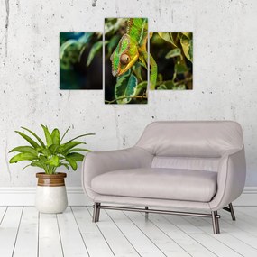 Tablou cu cameleon (90x60 cm)