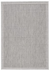Covor pentru exterior și interior gri deschis 200x290 cm Giza 1410 – Ayyildiz Carpets