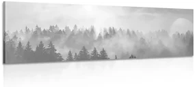 Tablou ceață deasupra pădurii  alb-negru