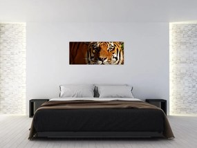 Tablou cu tigrul (120x50 cm)
