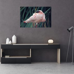 Tablou - Pasărea Flamengo (90x60 cm)