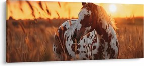 Tablou - Cal la Apus (120x50 cm)