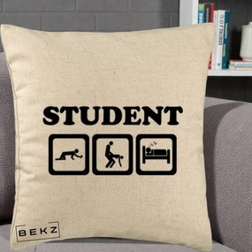Perna Decorativa Student Life, 40x40 cm, Bej, Husa Detasabila, Perna Inclusa, BEKZ®