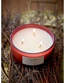 Lumânare parfumată timp de ardere 25 h Cozy Nectarine – ILLUME x Bloomingville