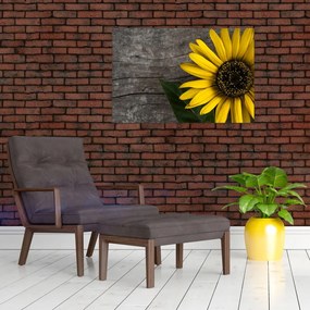 Tablou - Floare de floarea soarelui (90x60 cm)