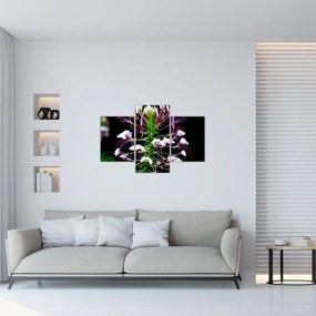 Tablou cu floare (90x60 cm)