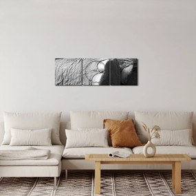 Tablou - Picior de elefant (cu ceas) (90x30 cm)
