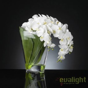 Aranjament floral elegant PHALENO CASCADE 1140969.95