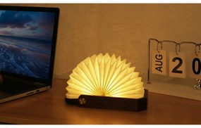 Decorațiune luminoasă albă/în culoare naturală închisă cu USB Origami – Gingko