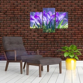 Tablou cuflori în ploaie (90x60 cm)