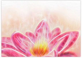 Tablou pe sticlă - Floare de lotus (70x50 cm)