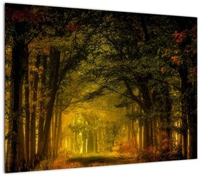Tablou cu pădure (70x50 cm)