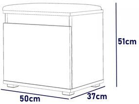 BAM509 - Banca 50x37x51 cm, Pantofar pentru Hol, pantofi, depozitare - Culoarea Stejar cu tapiterie Gri/Albastru/Verde