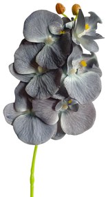 Orhidee artificiala Gloria 70cm, 6 flori, Albastru