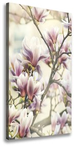Imprimare tablou canvas Magnolie