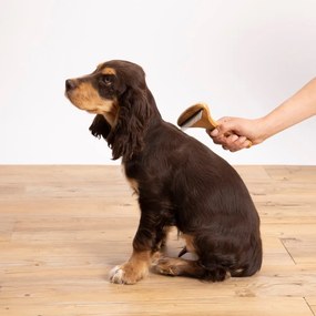 Perie pentru animale – Love Story