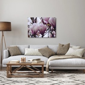 Tablou pe sticlă - Magnolie (70x50 cm)