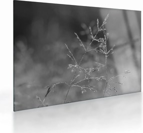 Tablou pe sticlă - Pajiște de țară (70x50 cm)