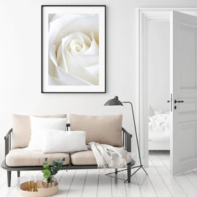 Poster - Trandafir blând (A4)